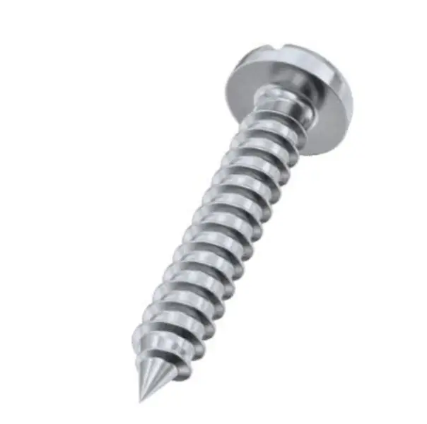 Voluntas Slotted Pan Caput Self Tapping Cochleas DIN 7971 A2 Steel Naturalis Finish Rust Facile?