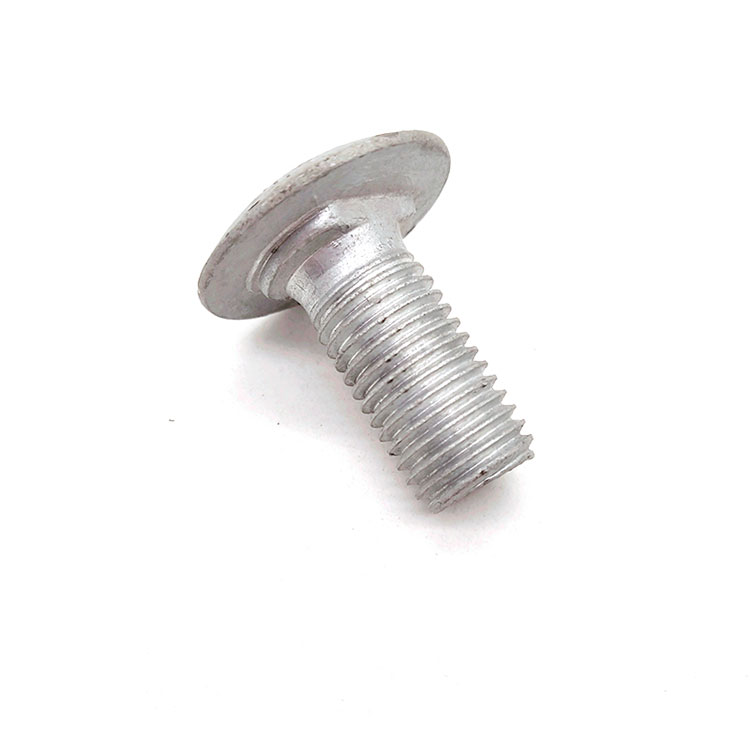 A2-70 Carbon Steel Hot Dip Galvanized Non-vexillum Rotundus Caput Short Square Neck Vehiculum Bolt