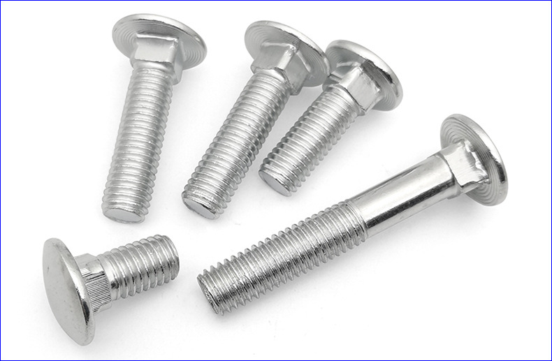 DIN 603 Vehiculum Bolt