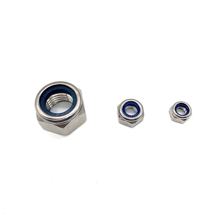 DIN 985 DIN 982 Steel 304 316 White Nylon Self Lock Nut