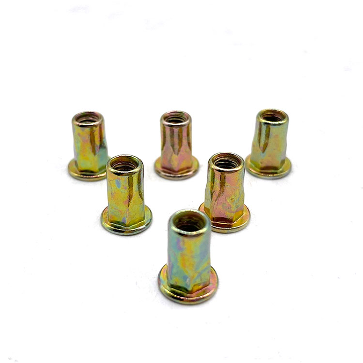 Hex Corpus Aluminium Flat Head Hex Corpus Sheet Metal Carbon Steel Brass Cylindrical Rivet Nut