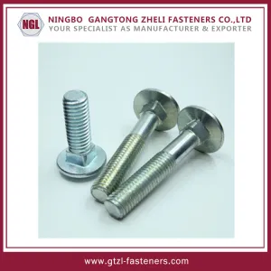 Fungus Steel Head Vehiculum Bolt DIN603