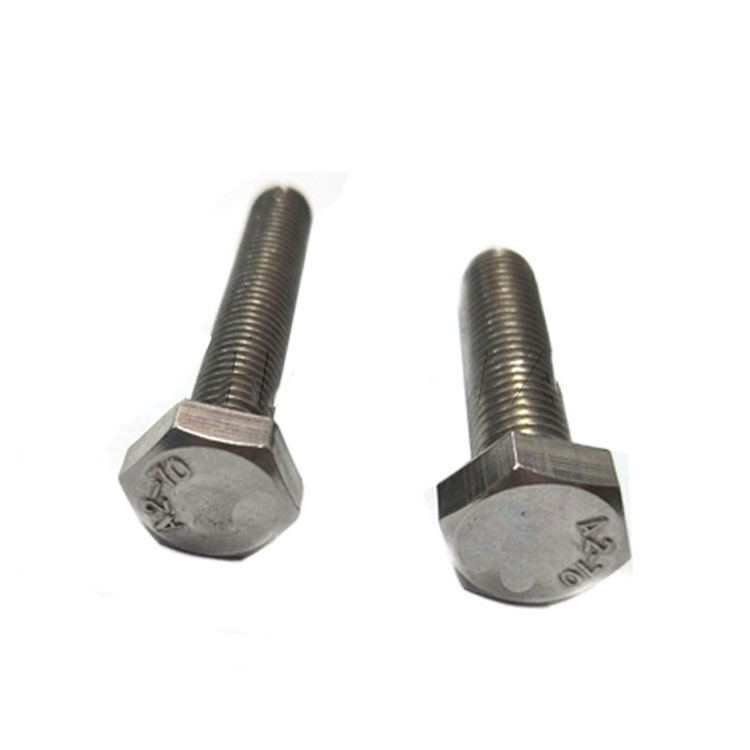 Steel SS304 SS316 Hex Head Set Cochleas (DIN7990)