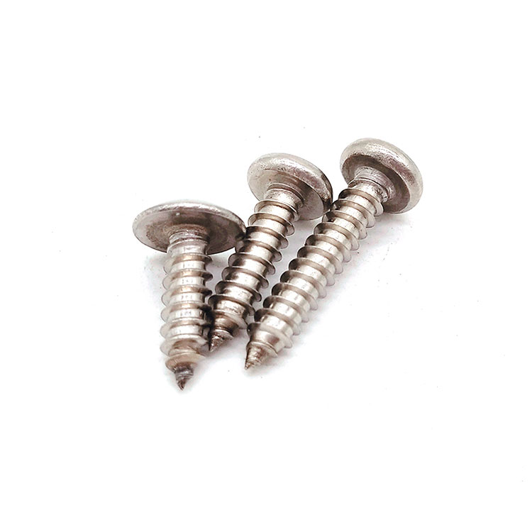 Stainless Steel SUS 201/304 Torx M2 Wood Self Tapping stupra